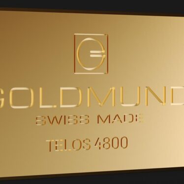 Goldmund Telos 4800